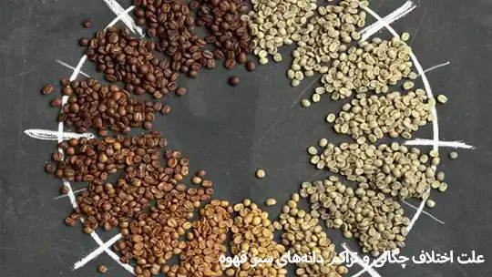 علت اختلاف چگالی و تراکم دانه‌های سبز قهوه