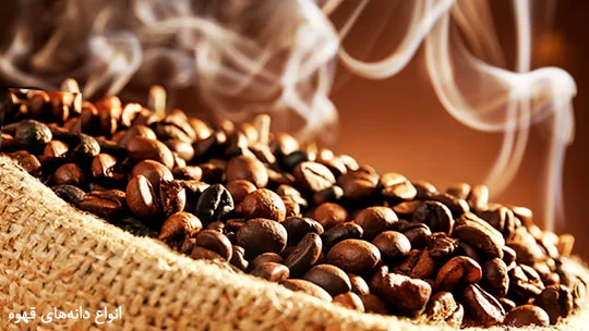 principle-roasting-hard-soft-coffee-bean