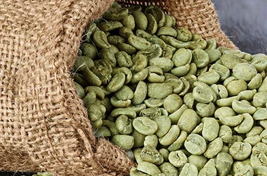 اصول رست دانه های سخت و نرم قهوه