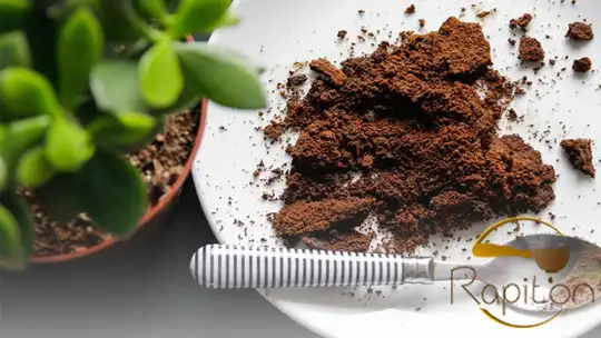 از مزایایی که تفاله قهوه برای گیاهان دارد، میتوان به موارد زیر اشاره کرد: